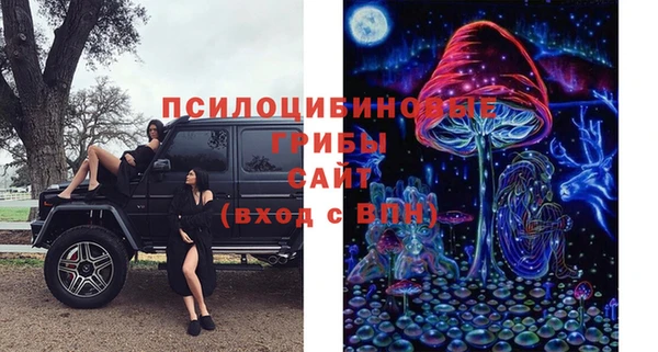 скорость Каменногорск