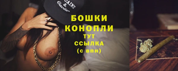 скорость Каменногорск