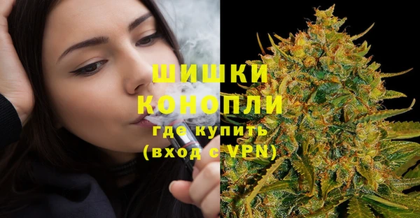 2c-b Каменка