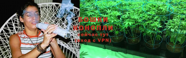 2c-b Каменка