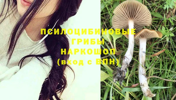 скорость Каменногорск